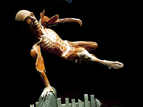 Von hegen human by jedman
 #17650023