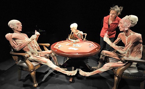 Von hegen human by jedman
 #17650027