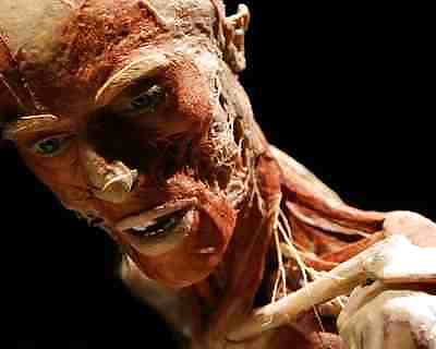 Von hegen human by jedman
 #17650048