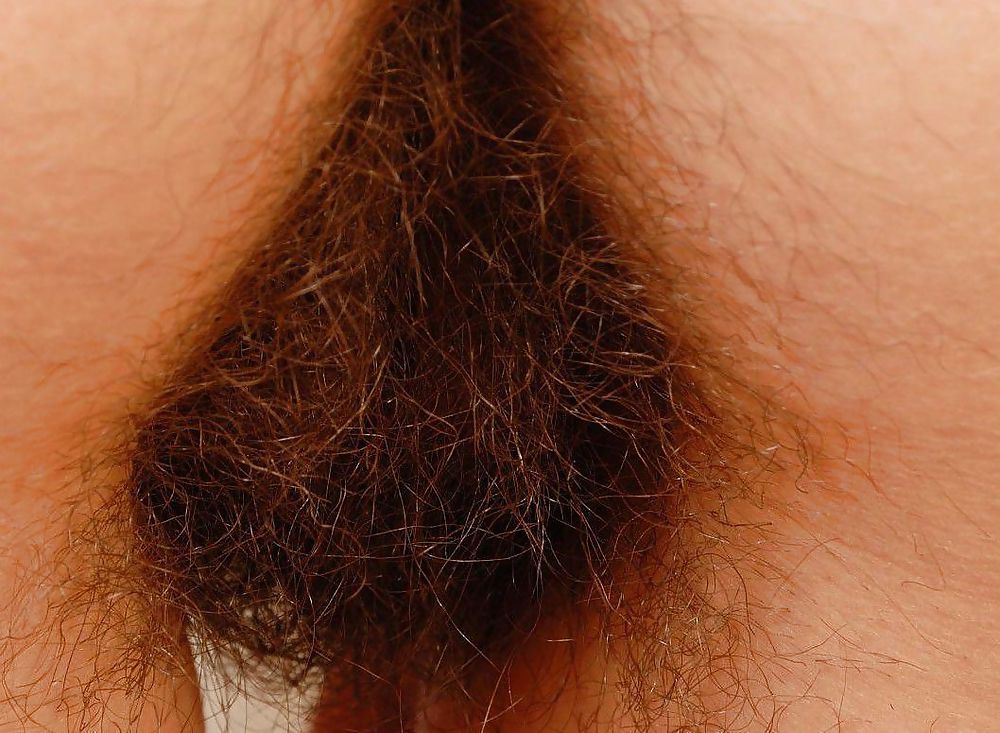 Hunky Bucetas Peludas