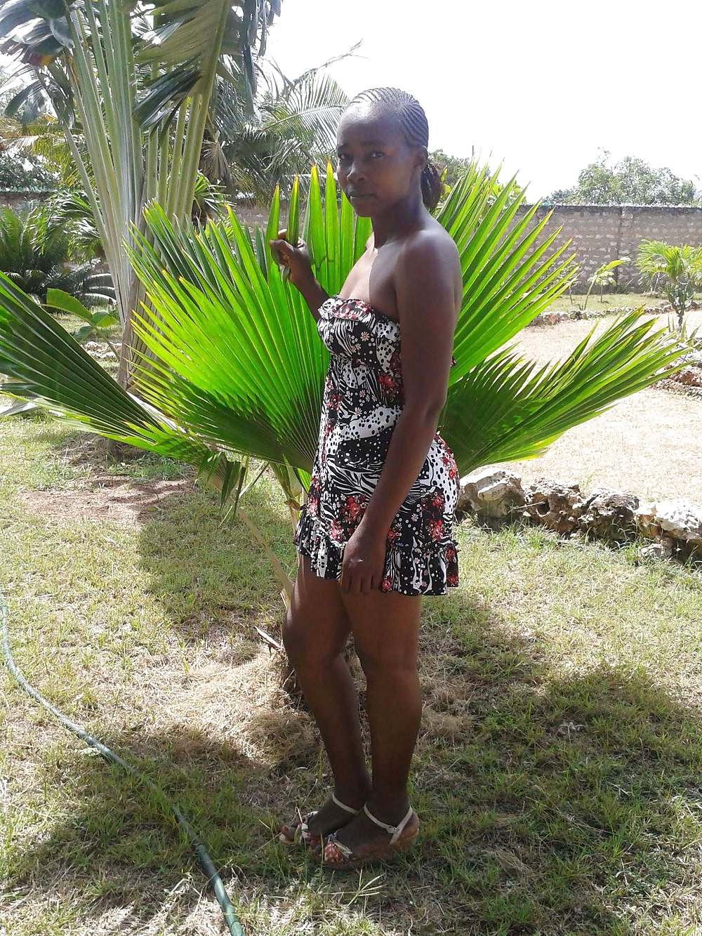 Comentarios extremos aquí
 #19265308