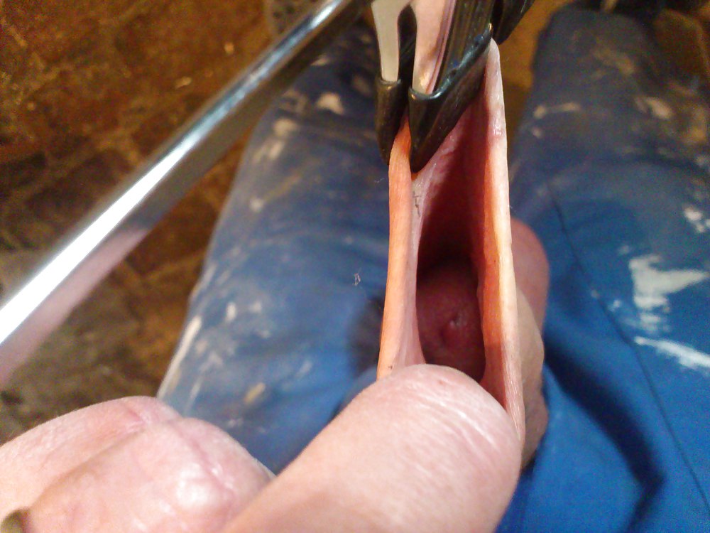 Eierspiele
 #11361540