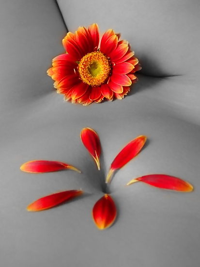 Mmmmm Just a Touch Of Color  #5182712