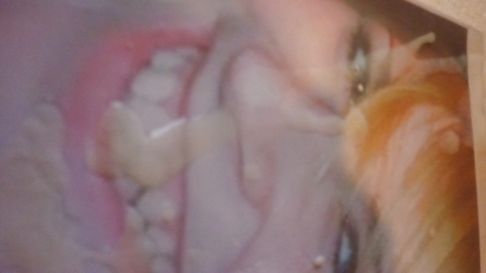 Fangtastic22 will get TosserTim's sperm #9848015