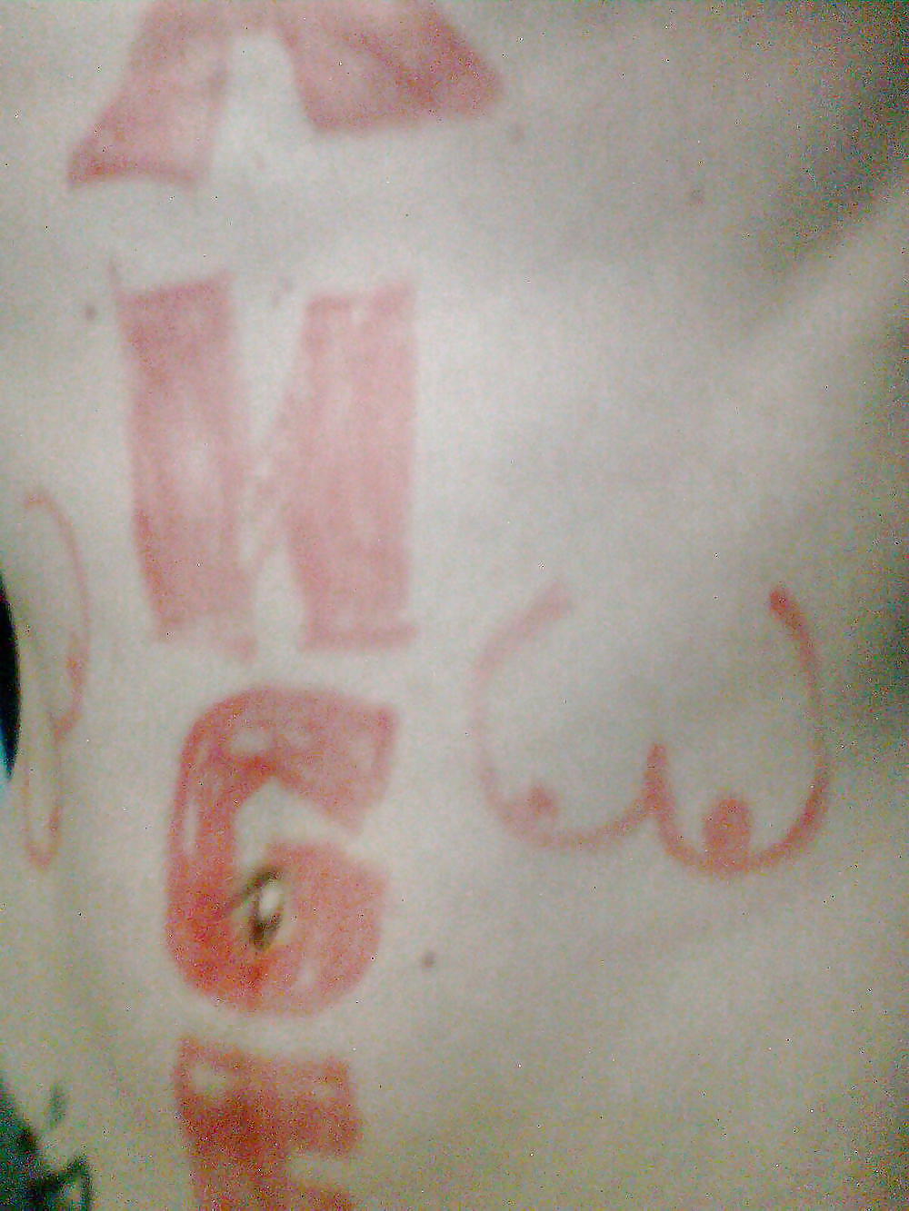 ファンの写真
 #10443831