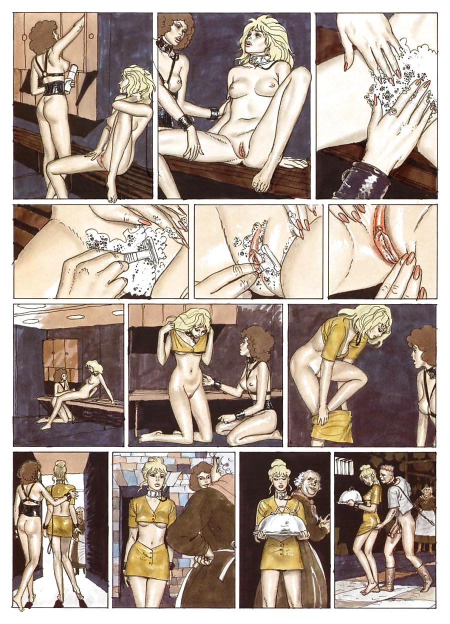 Erotische Comic-Kunst 16 - Der Traum Von Cecilia #17793023