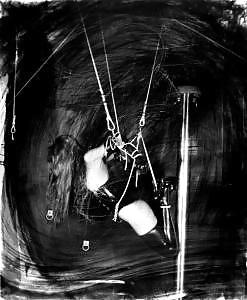 Guy Lemaire #4351801