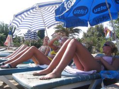 Beach turkey