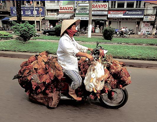 Hahahahahahah #4373255