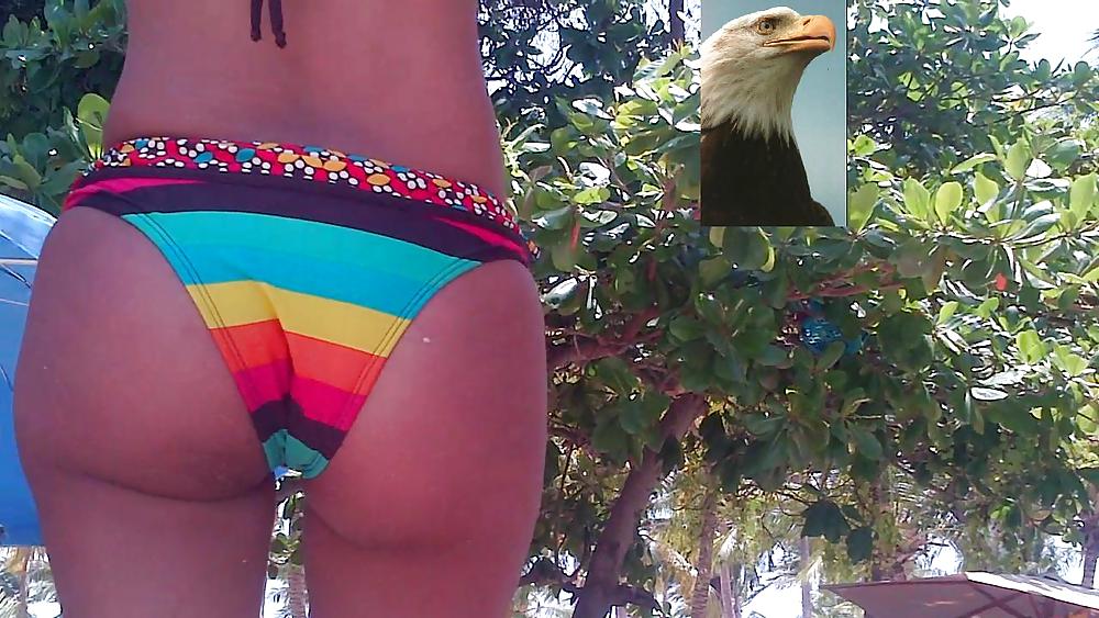 Candid latina public bikini ass #22351225