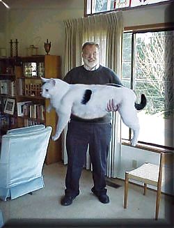 A Bit Of Humor #10229939