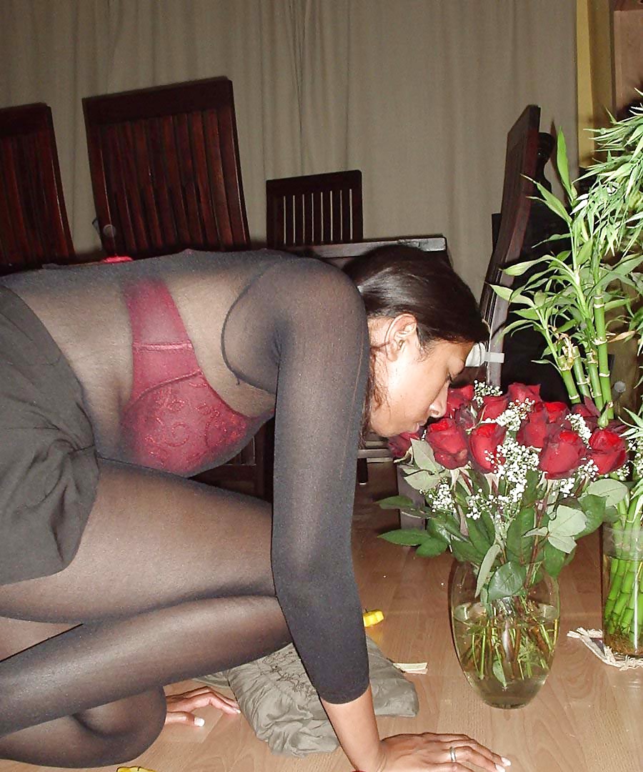 New Nylons 3 #8444242