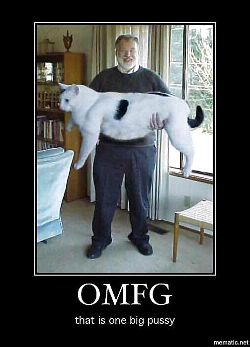 Some more randoms  #14025079