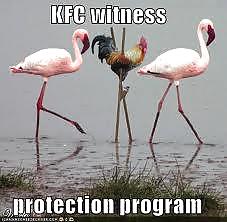 Some more randoms  #14025115