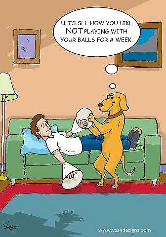 Some more randoms  #14025119