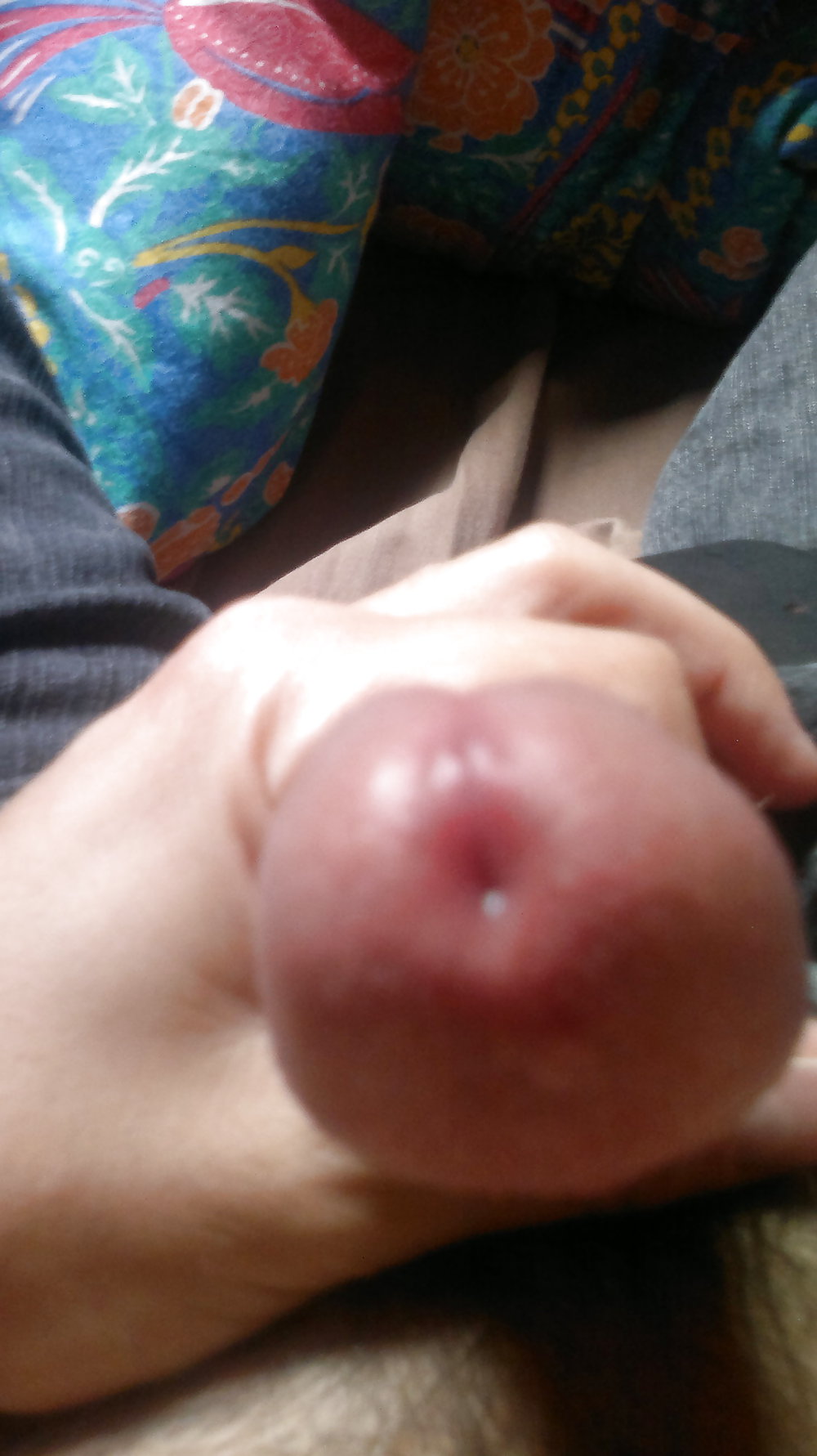 Cockondemand #19010182