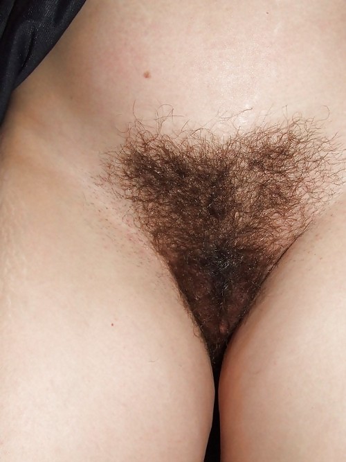 J'adore les femmes ayant une belle toison 106 (J'adore les femmes ayant une belle toison 106)
 #14869230