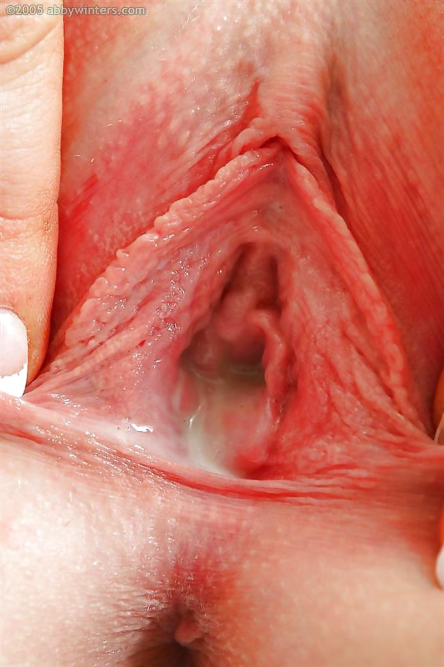 My favorite pussy pics #3603771