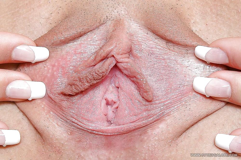 My favorite pussy pics #3603808