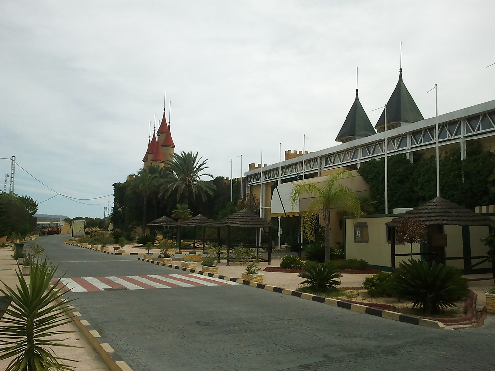 Tengo un ojo para los lugares .
 #15802271