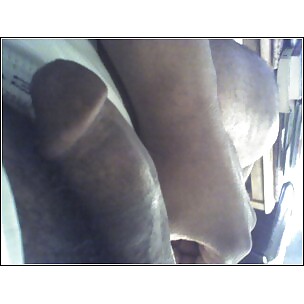 My cock #3824027
