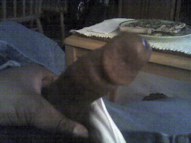 My cock #3824093