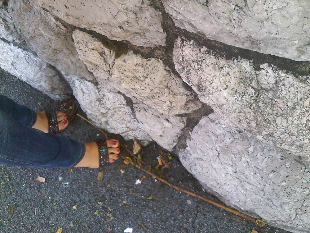 Pies cándidos
 #10846603