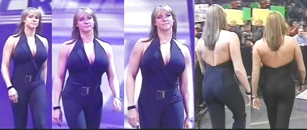 Stephanie mcmahon wwe sexy diva milf
 #12195596