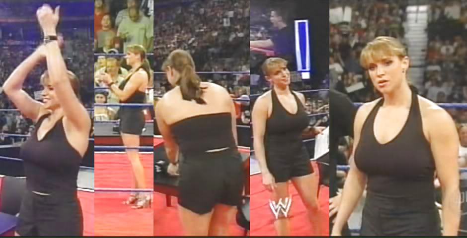 Stephanie mcmahon wwe sexy diva milf
 #12195630