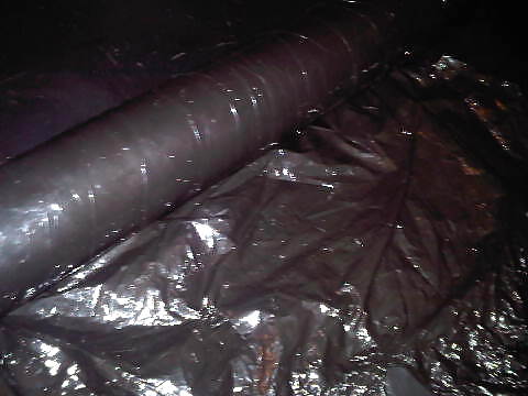 Kinkyfreakers
 #13674822