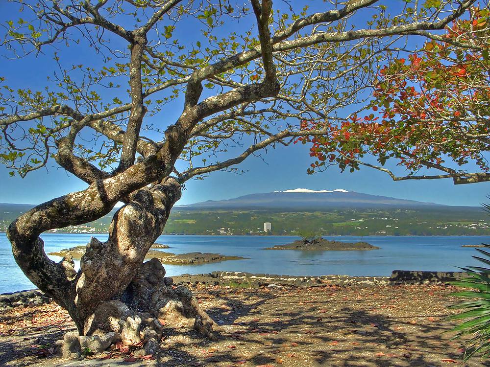 Hilo