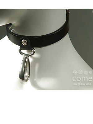 Found: collar + leash #5397000
