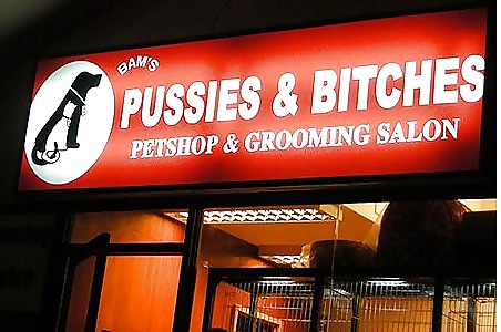 面白い
 #18810865