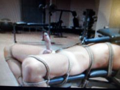 BDSM