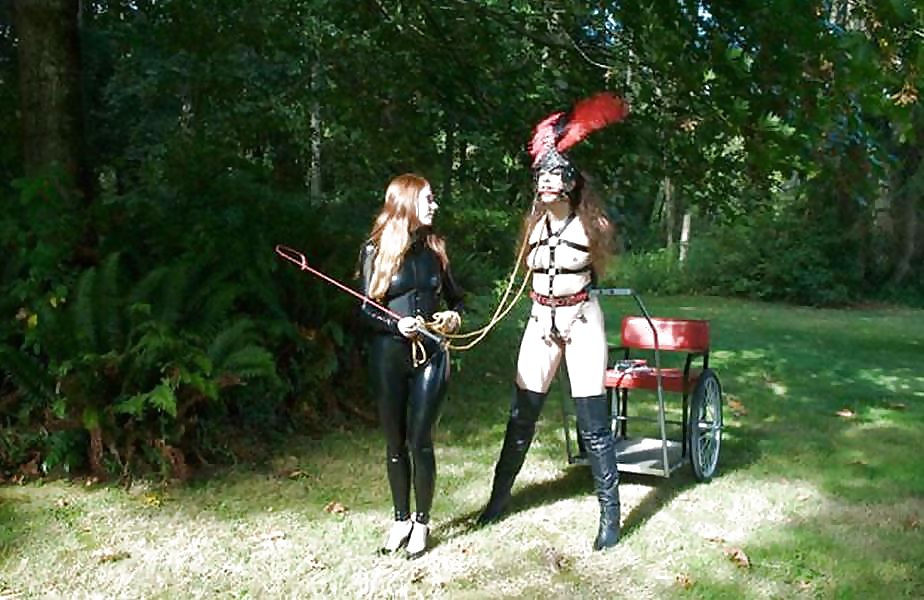 Time for a Pony Play! #11747098