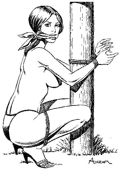 Thematic Drawn Porn Art 10 - BDSM (1) #11755735