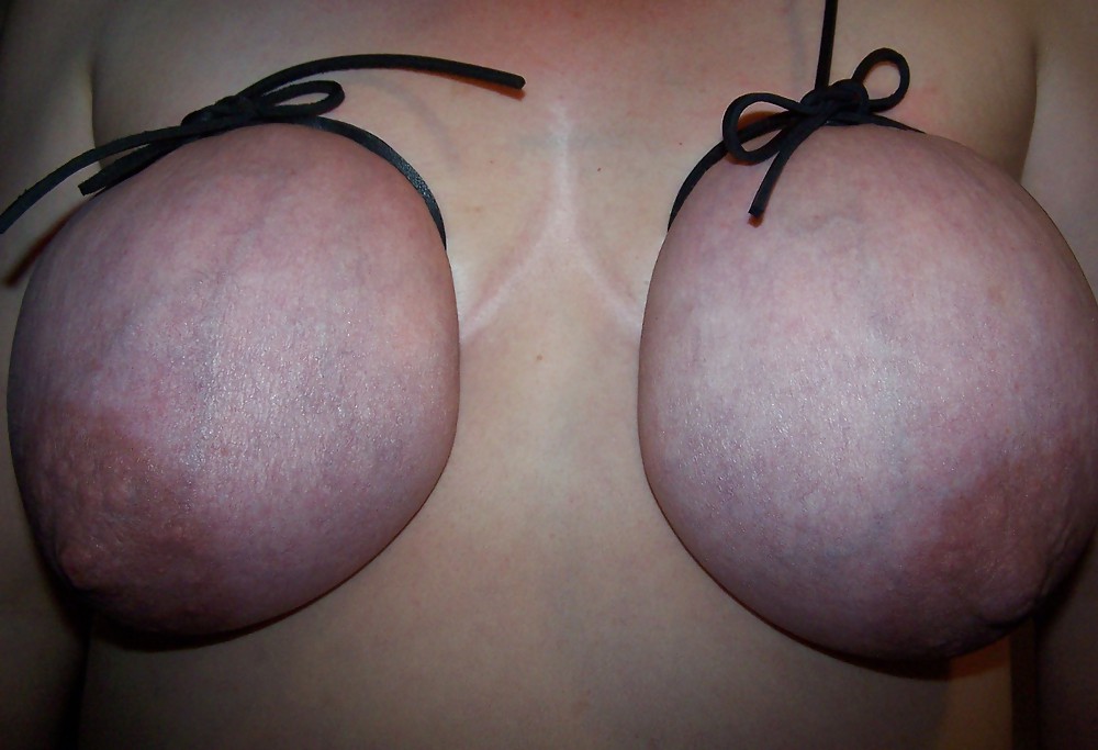 Prachteuter im raum lueneburger heide gesucht
 #11133032