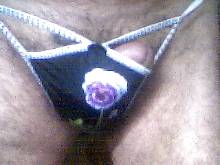 String Farbe 26 #281724
