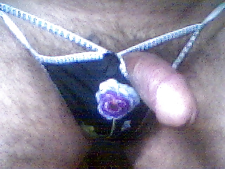 String color 26 #282167