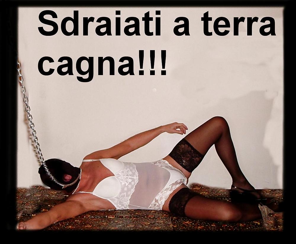 Sfondatemi tutta sono una cagna
 #633204