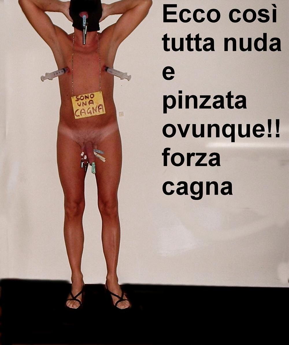 Sfondatemi tutta sono una cagna
 #633286