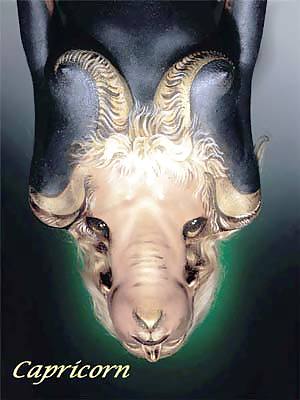 Bodypaint zodiaco
 #14191282