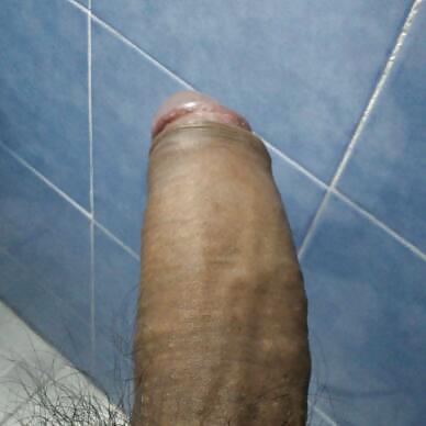 First Gallery #14503411