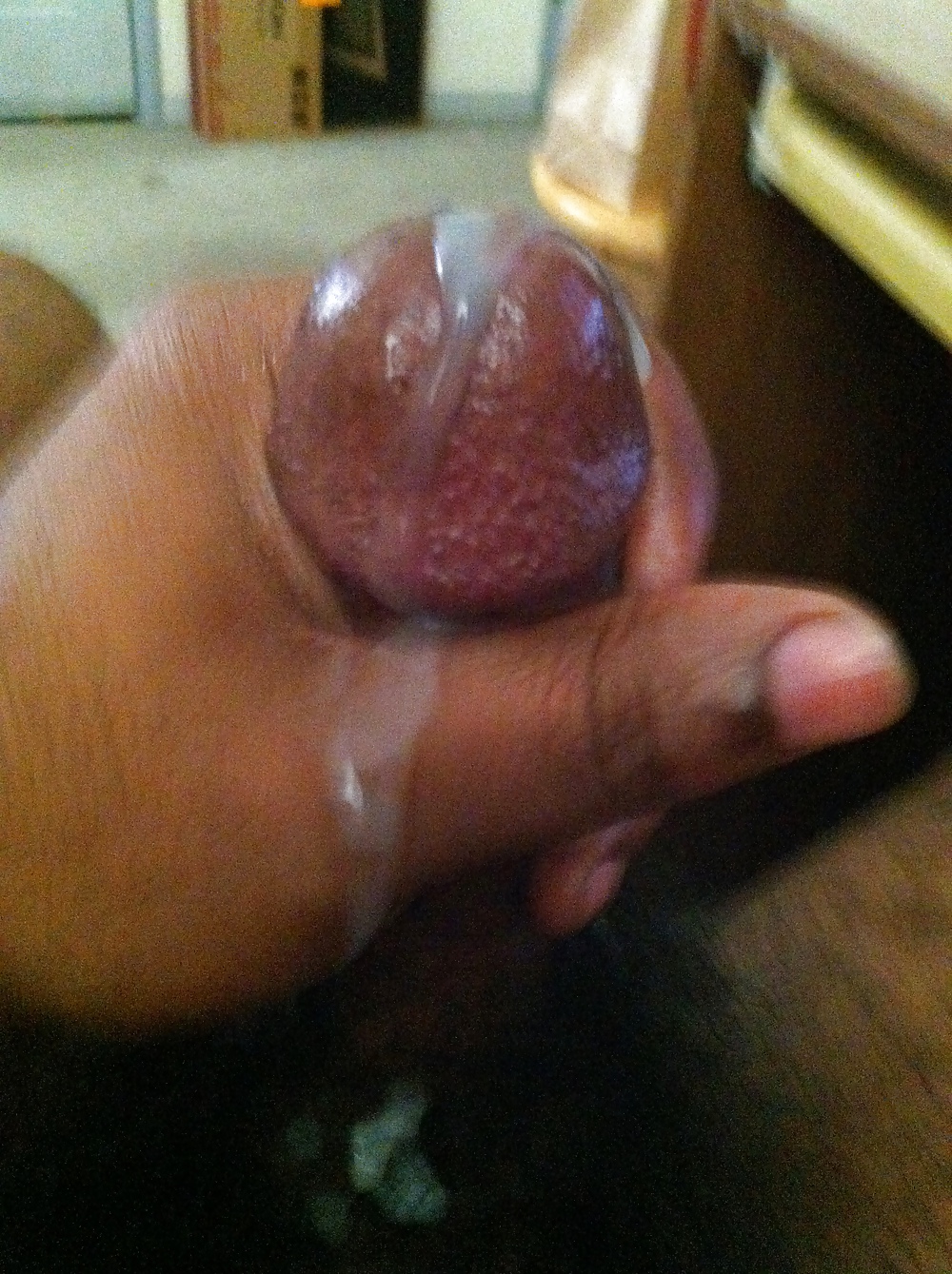 Daytime is still Playtime! #11357850