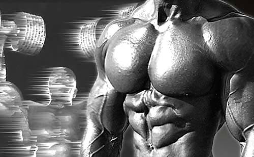 Einfach nur ich xd
 #13938019