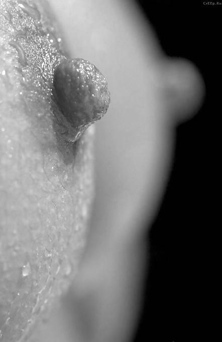 Erotic Close-Up's - Session 5 #5626012