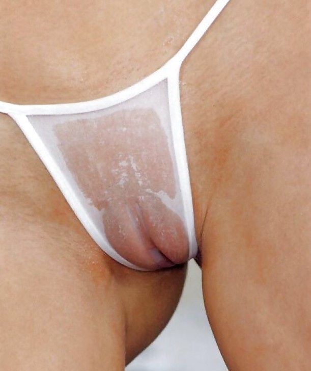 Camel Toes2 #6875542