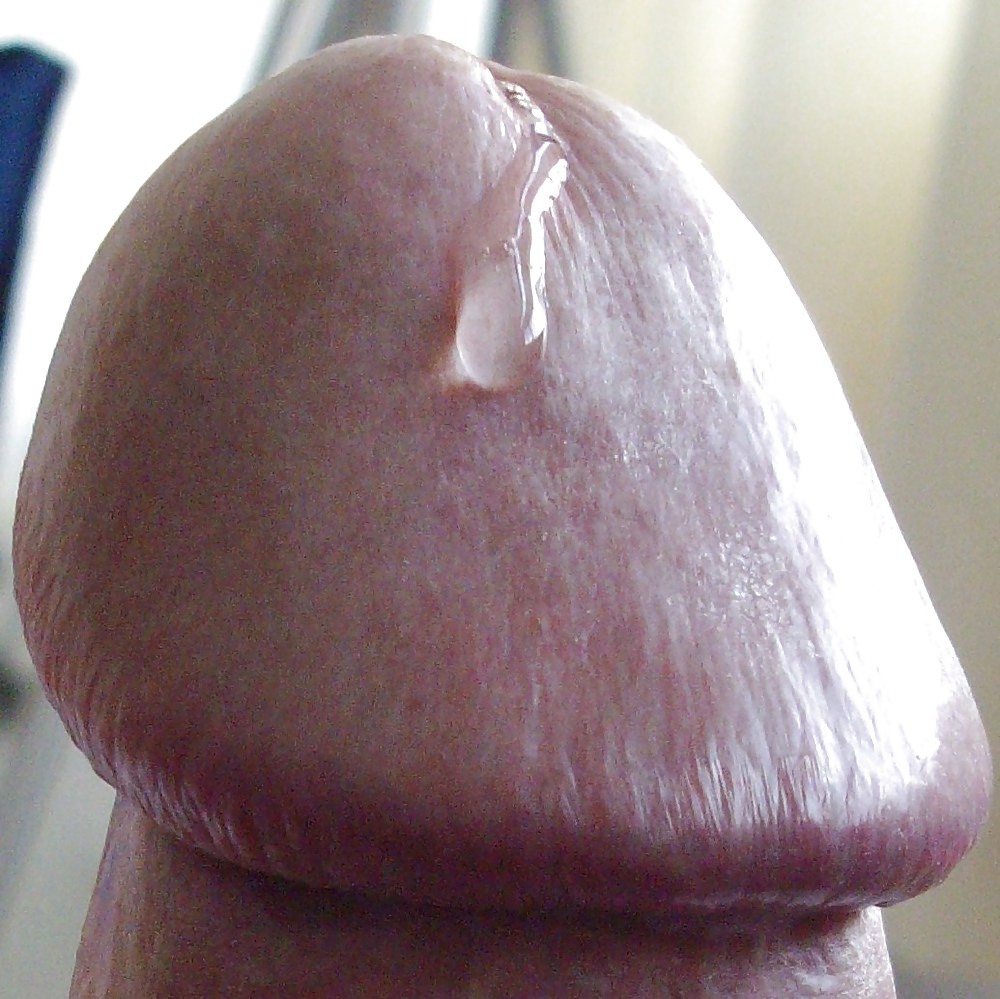 FRANK'S HUGE COCK: Precum #7582527