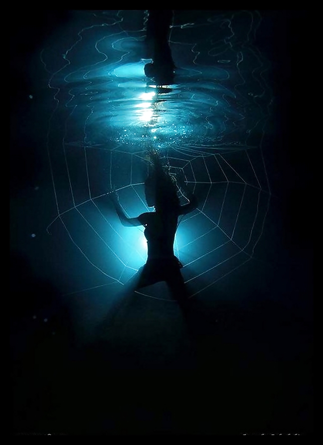 Arte subacuático anatoly beloshchin para negro-viuda
 #17342677