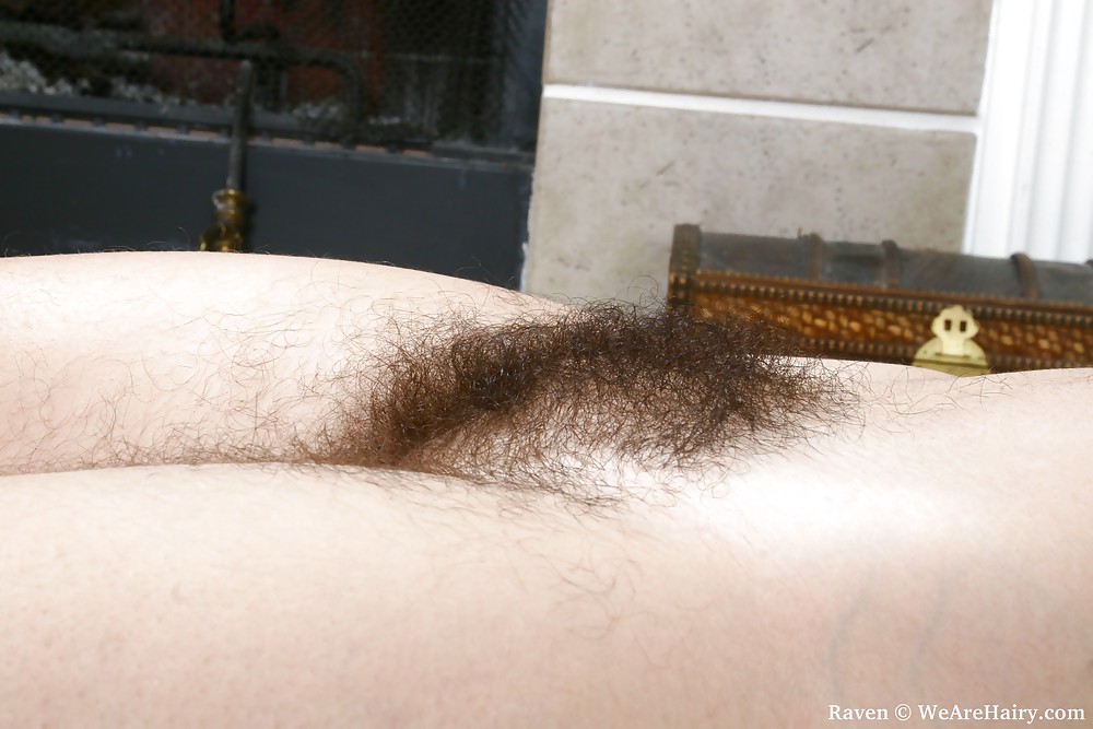 Hairy Gallery  #7204496